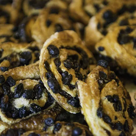 Kn Matas Blancas - Solo Adultos